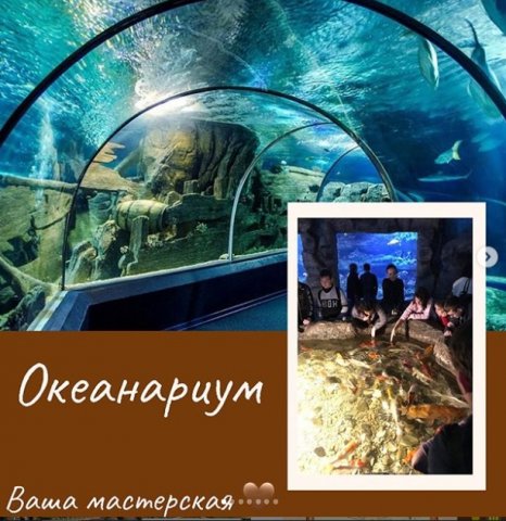 Океанариум. Март 2020. 