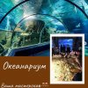 Океанариум. Март 2020. 